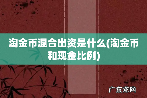 淘金币和现金比例 淘金币混合出资是什么