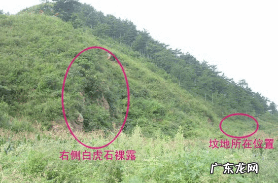二十四山龙之生旺墓 墓地风水旺四房看哪里