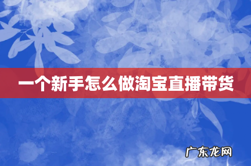 一个新手怎么做淘宝直播带货