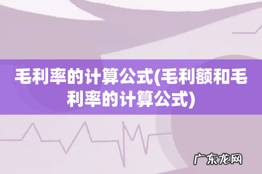 毛利额和毛利率的计算公式 毛利率的计算公式