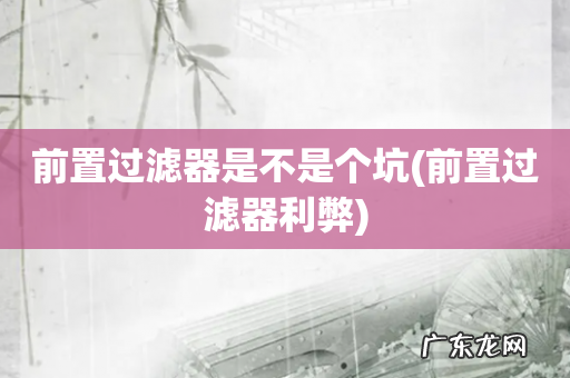 前置过滤器利弊 前置过滤器是不是个坑