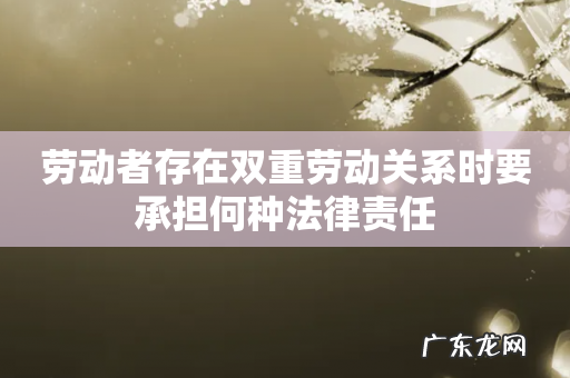 劳动者存在双重劳动关系时要承担何种法律责任