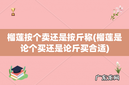 榴莲是论个买还是论斤买合适 榴莲按个卖还是按斤称