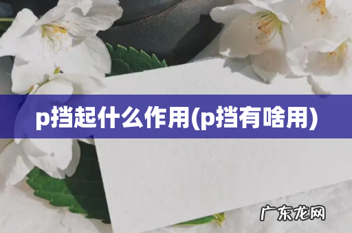 p挡有啥用 p挡起什么作用
