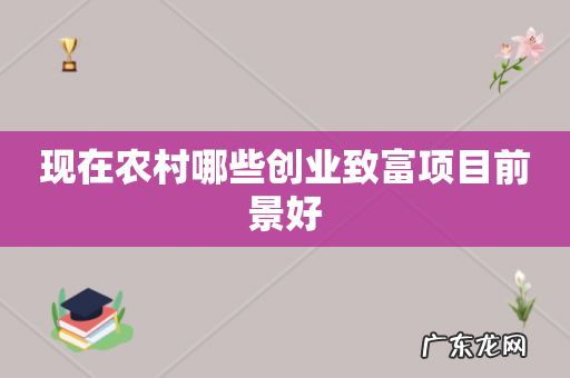 现在农村哪些创业致富项目前景好