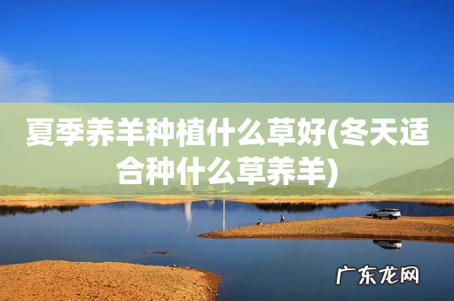 冬天适合种什么草养羊 夏季养羊种植什么草好