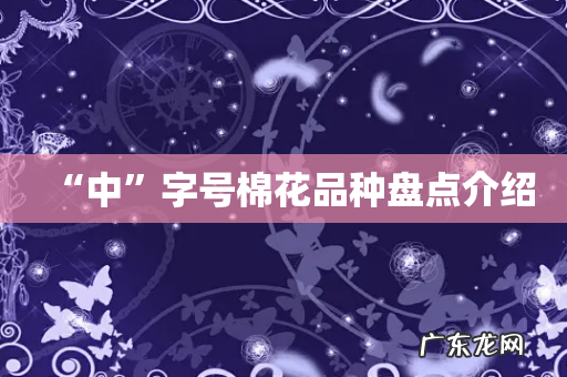 “中”字号棉花品种盘点介绍