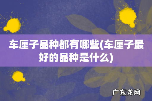 车厘子最好的品种是什么 车厘子品种都有哪些