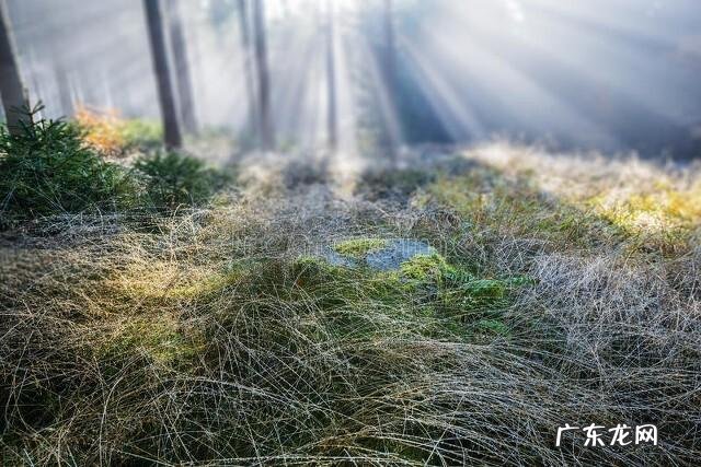 守望地球 守卫地球