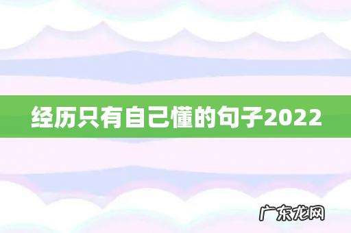 经历只有自己懂的句子2022
