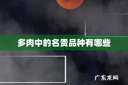多肉中的名贵品种有哪些