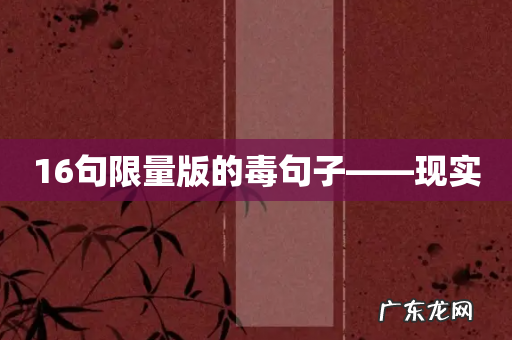 16句限量版的毒句子——现实