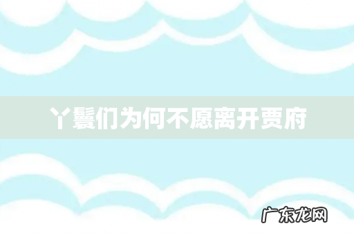 丫鬟们为何不愿离开贾府