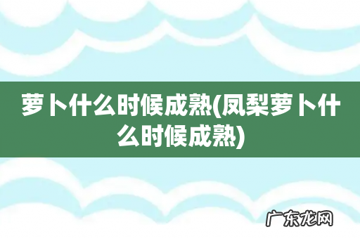 凤梨萝卜什么时候成熟 萝卜什么时候成熟