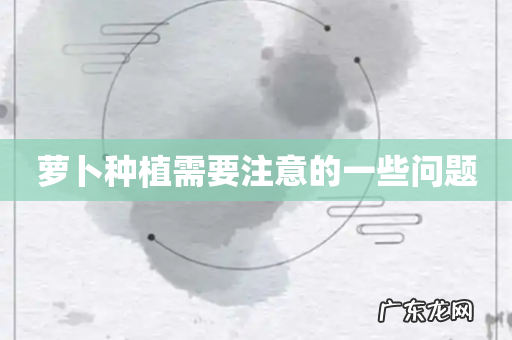 萝卜种植需要注意的一些问题