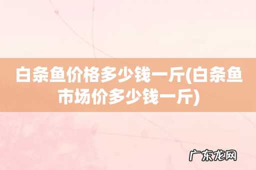 白条鱼市场价多少钱一斤 白条鱼价格多少钱一斤