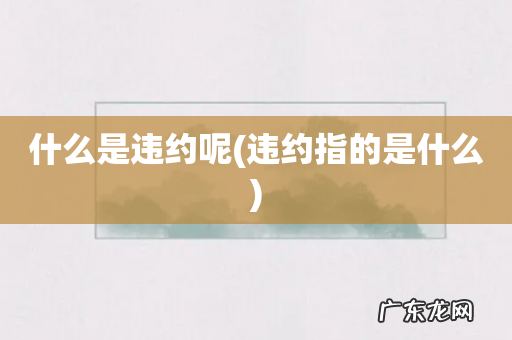 违约指的是什么 什么是违约呢