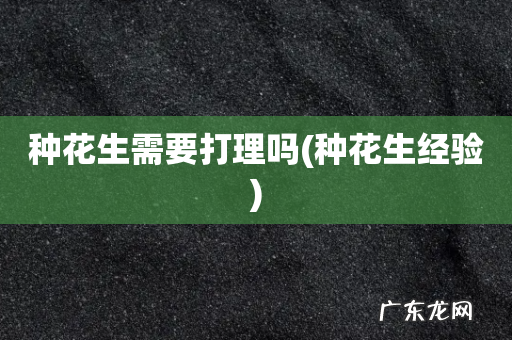 种花生经验 种花生需要打理吗