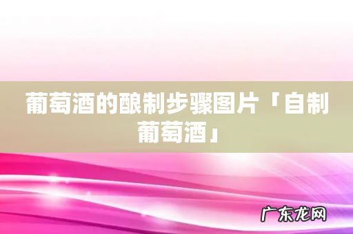 葡萄酒的酿制步骤图片「自制葡萄酒」