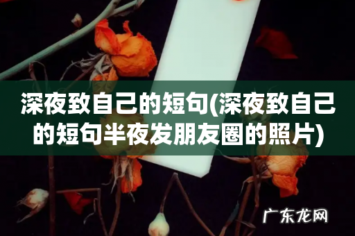 深夜致自己的短句半夜发朋友圈的照片 深夜致自己的短句