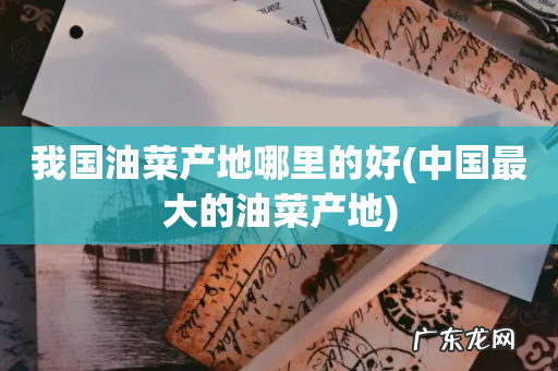 中国最大的油菜产地 我国油菜产地哪里的好