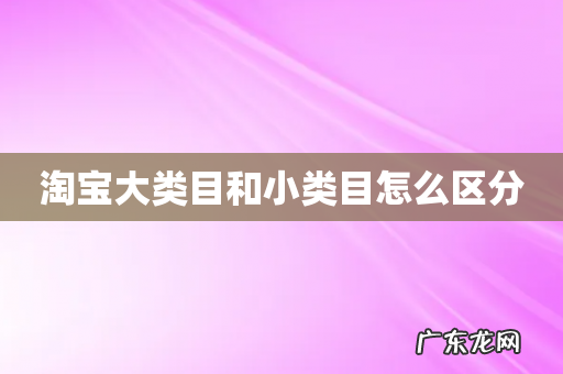 淘宝大类目和小类目怎么区分