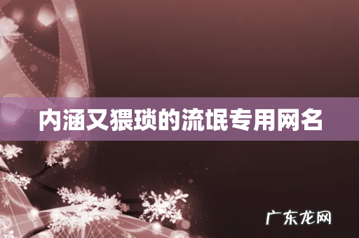 内涵又猥琐的流氓专用网名