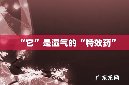 “它”是湿气的“特效药”