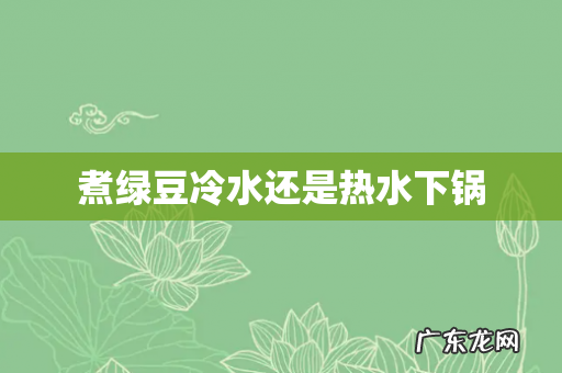 煮绿豆冷水还是热水下锅