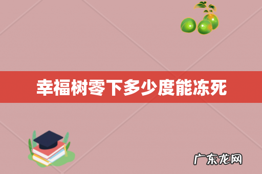 幸福树零下多少度能冻死