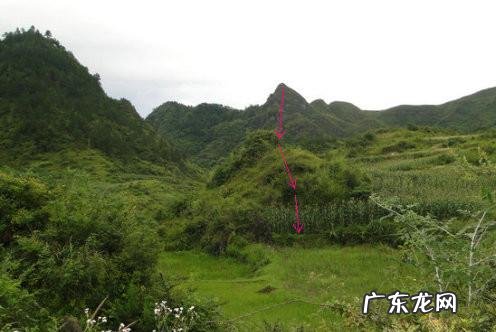 阳台一望出去就是坟好不好 老坟风水不好怎么办?