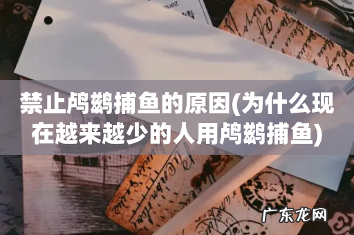为什么现在越来越少的人用鸬鹚捕鱼 禁止鸬鹚捕鱼的原因