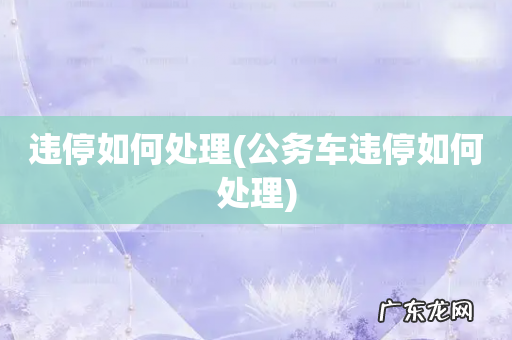 公务车违停如何处理 违停如何处理