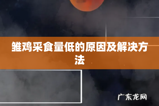 雏鸡采食量低的原因及解决方法
