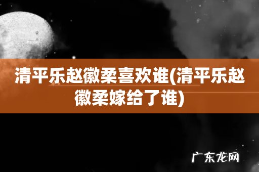 清平乐赵徽柔嫁给了谁 清平乐赵徽柔喜欢谁