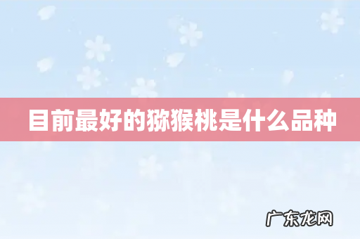 目前最好的猕猴桃是什么品种