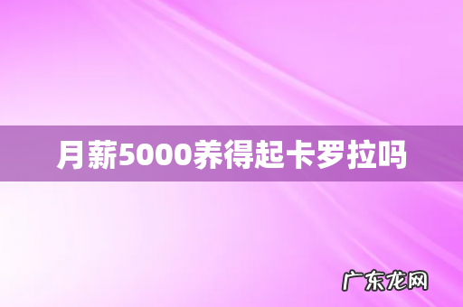 月薪5000养得起卡罗拉吗
