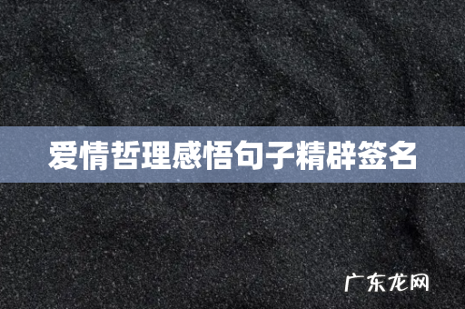 爱情哲理感悟句子精辟签名