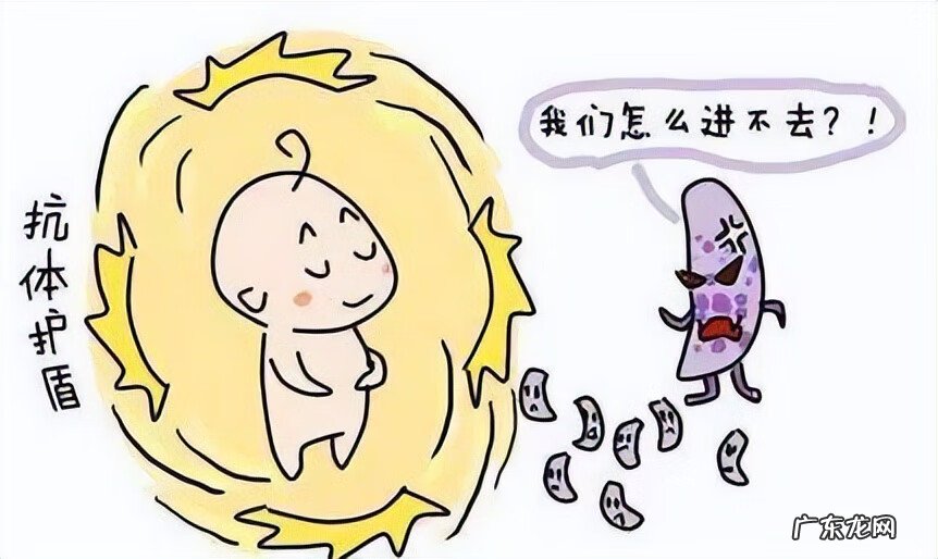 小孩免疫力差怎么办 宝宝免疫力差怎么办?