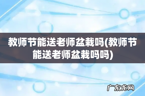 教师节能送老师盆栽吗吗 教师节能送老师盆栽吗