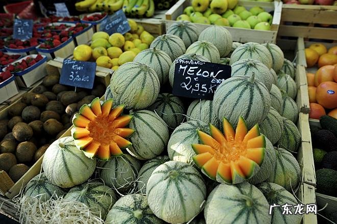 快刀切水果经典版 快刀切水果1