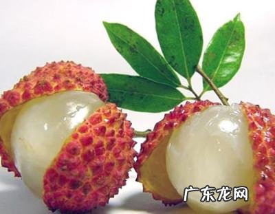 快刀切水果经典版 快刀切水果1