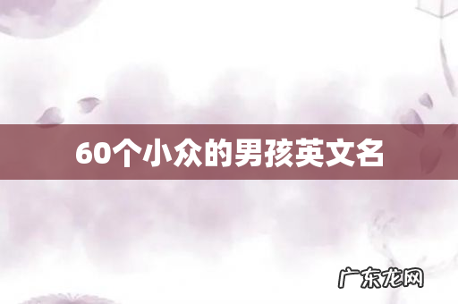 60个小众的男孩英文名