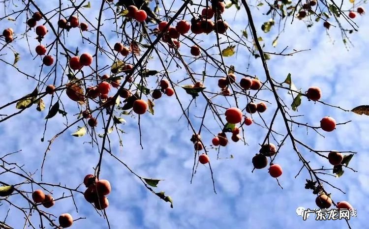 望仙亭 望仙园风水如何