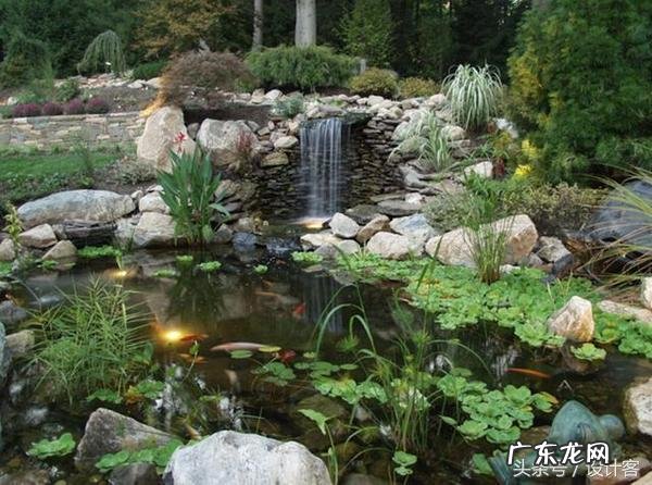 鱼池位置 风水 水池的风水