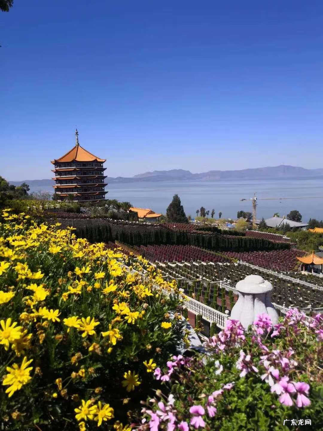 重庆风水最好的陵园 云南风水相当好的陵园卖得好