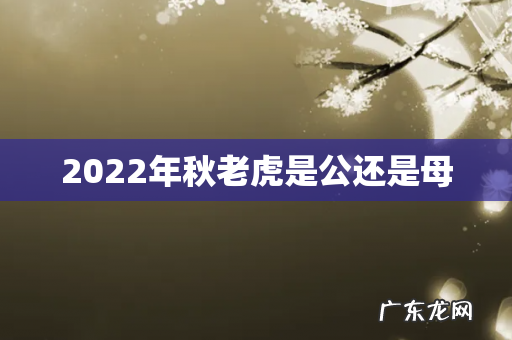 2022年秋老虎是公还是母