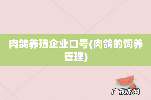 肉鸽的饲养管理 肉鸽养殖企业口号
