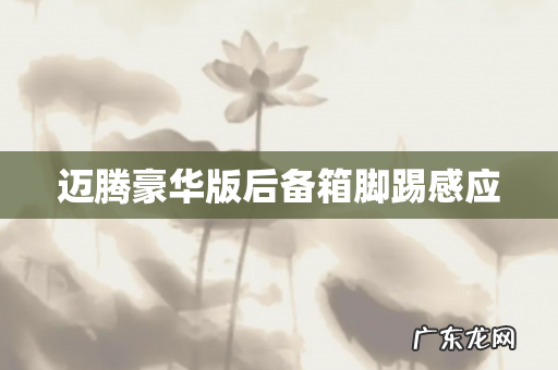 迈腾豪华版后备箱脚踢感应