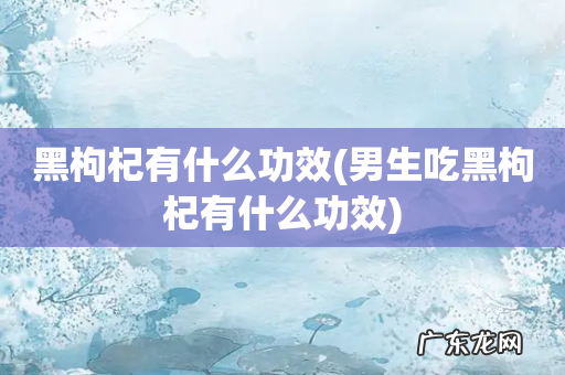 男生吃黑枸杞有什么功效 黑枸杞有什么功效